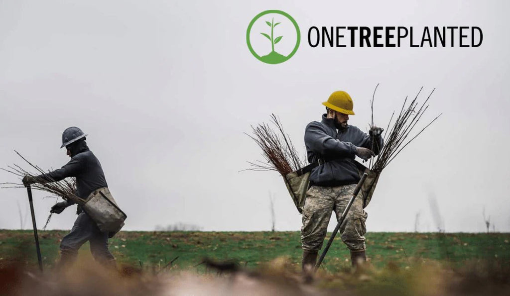 We plant trees!