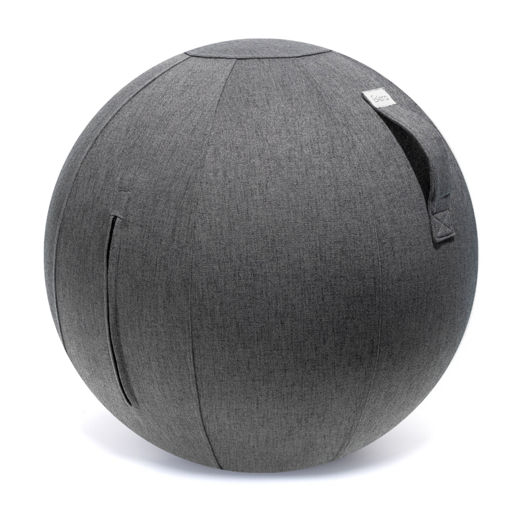 exercise ball, fitness ball, swiss ball, wellness ball, yoga ball, gym ball, stability ball, balance ball, sitting ball, ball chair, esfera ball, ergonomic chair